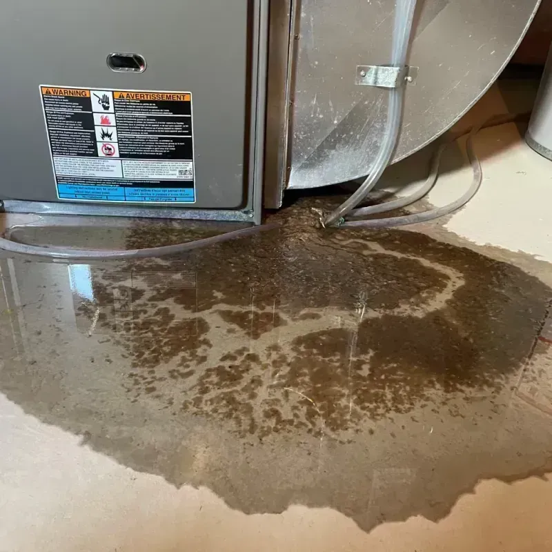 Appliance Leak Cleanup in Washington County, IL